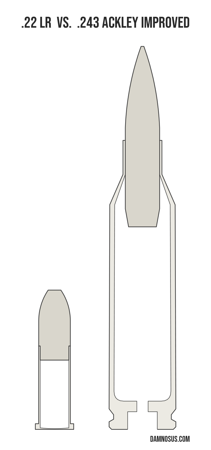 .22 LR vs .243 Ackley Improved cartridge size comparison, drawn to scale and aligned at the case head.