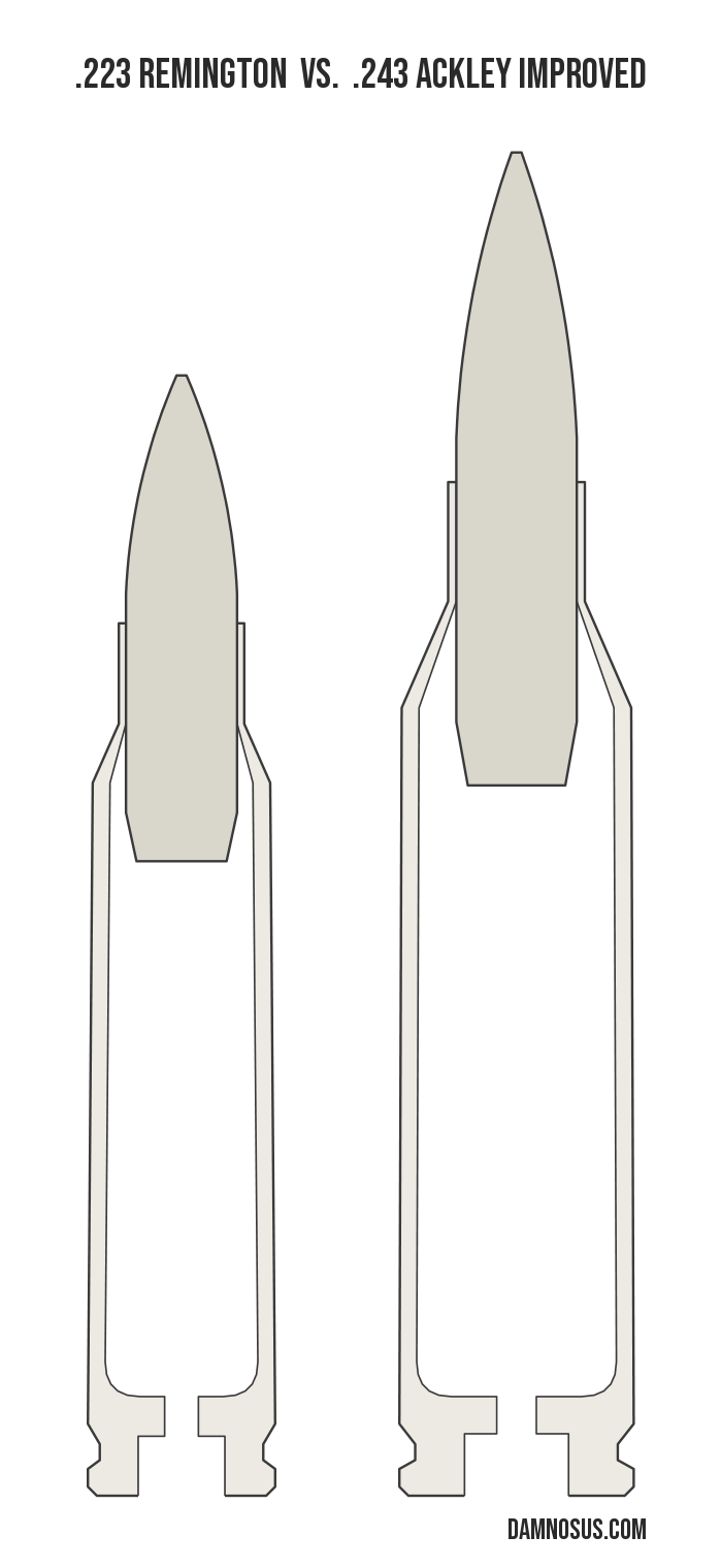 .223 Remington vs .243 Ackley Improved cartridge size comparison, drawn to scale and aligned at the case head.