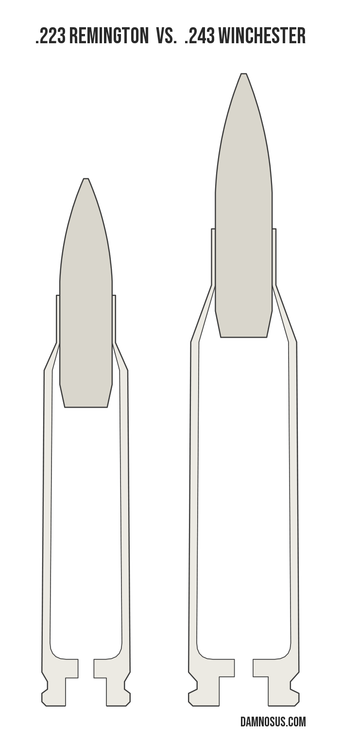 .223 Remington vs .243 Winchester cartridge size comparison, drawn to scale and aligned at the case head.