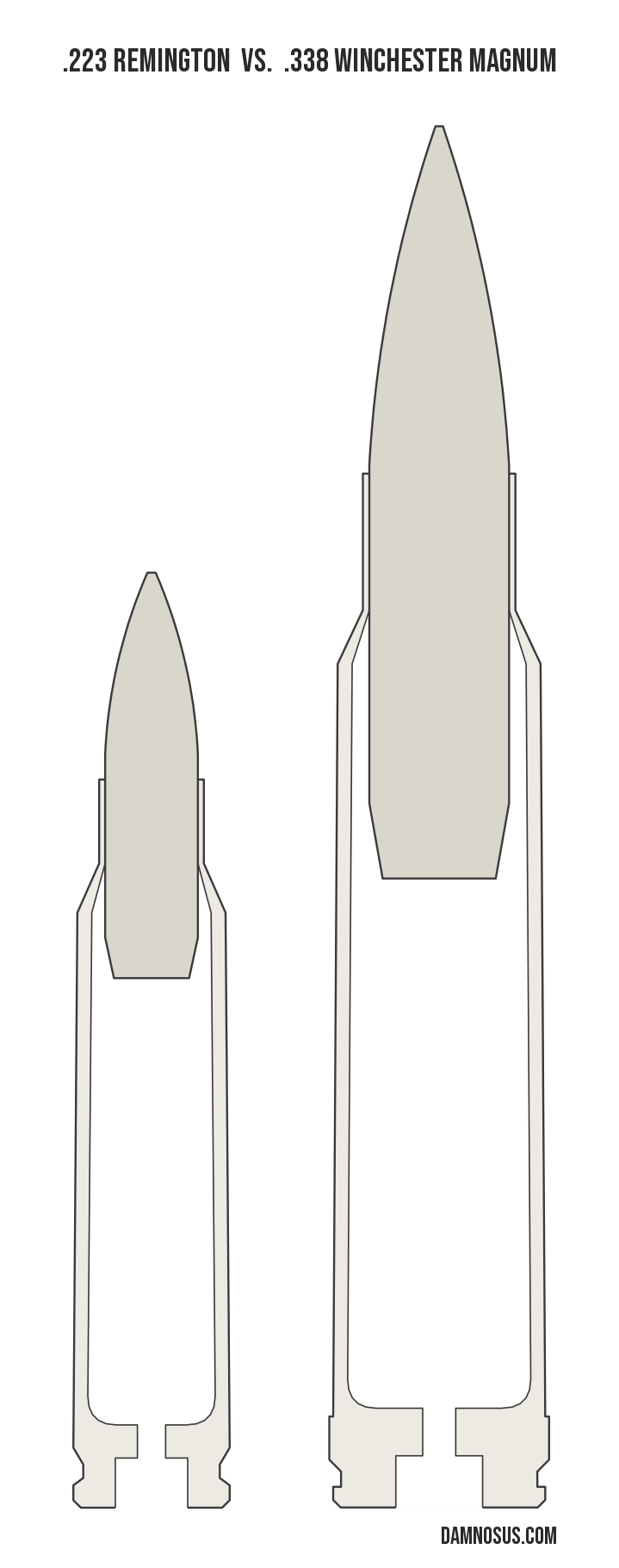.223 Remington vs .338 Winchester Magnum cartridge size comparison, drawn to scale and aligned at the case head.