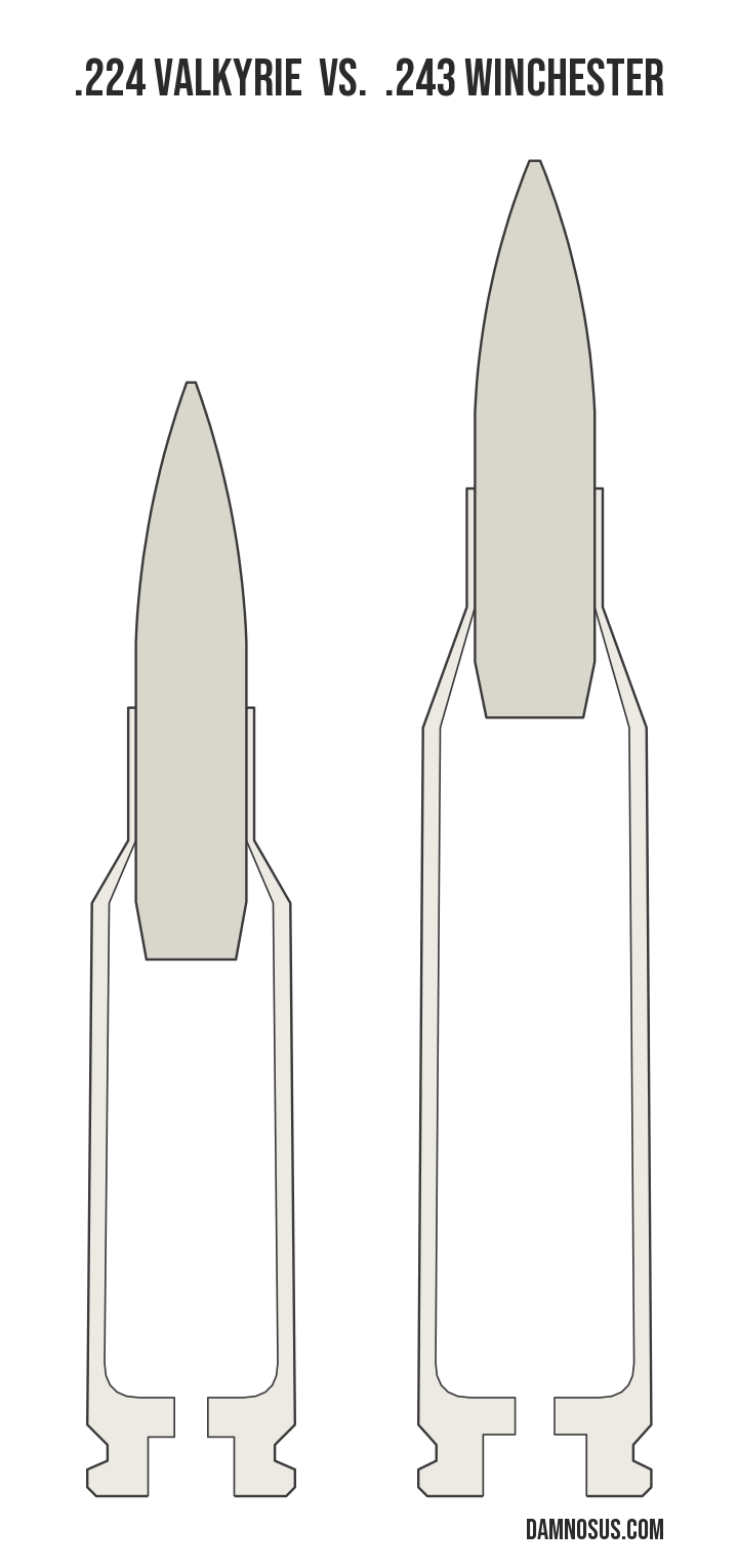 .224 Valkyrie vs .243 Winchester cartridge size comparison, drawn to scale and aligned at the case head.