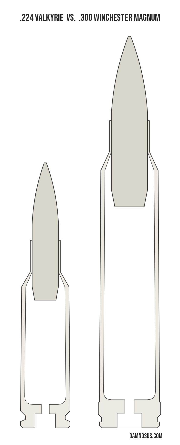 .224 Valkyrie vs .300 Winchester Magnum cartridge size comparison, drawn to scale and aligned at the case head.