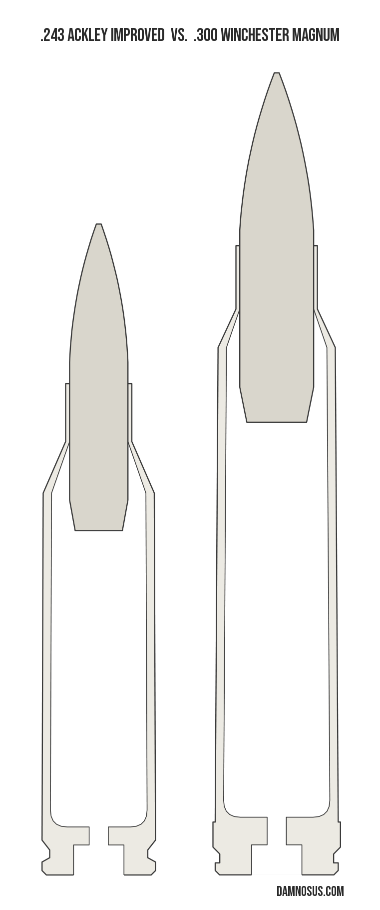 .243 Ackley Improved vs .300 Winchester Magnum cartridge size comparison, drawn to scale and aligned at the case head.