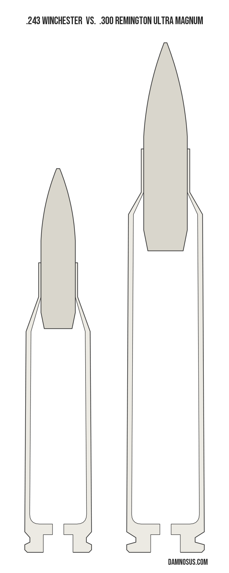 .243 Winchester vs .300 Remington Ultra Magnum cartridge size comparison, drawn to scale and aligned at the case head.