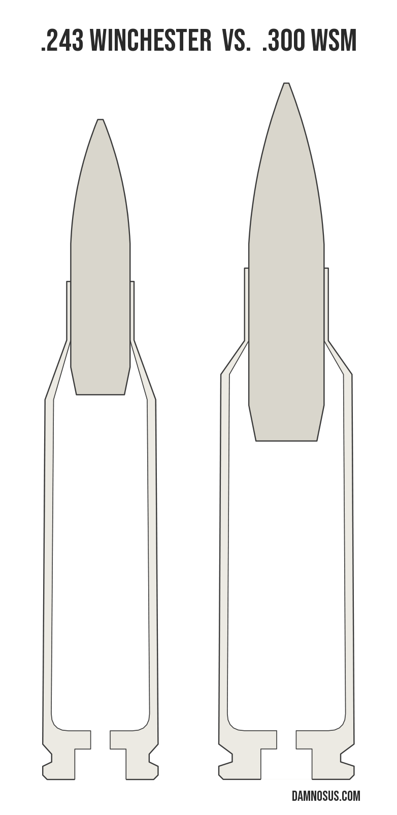 .243 Winchester vs .300 WSM cartridge size comparison, drawn to scale and aligned at the case head.