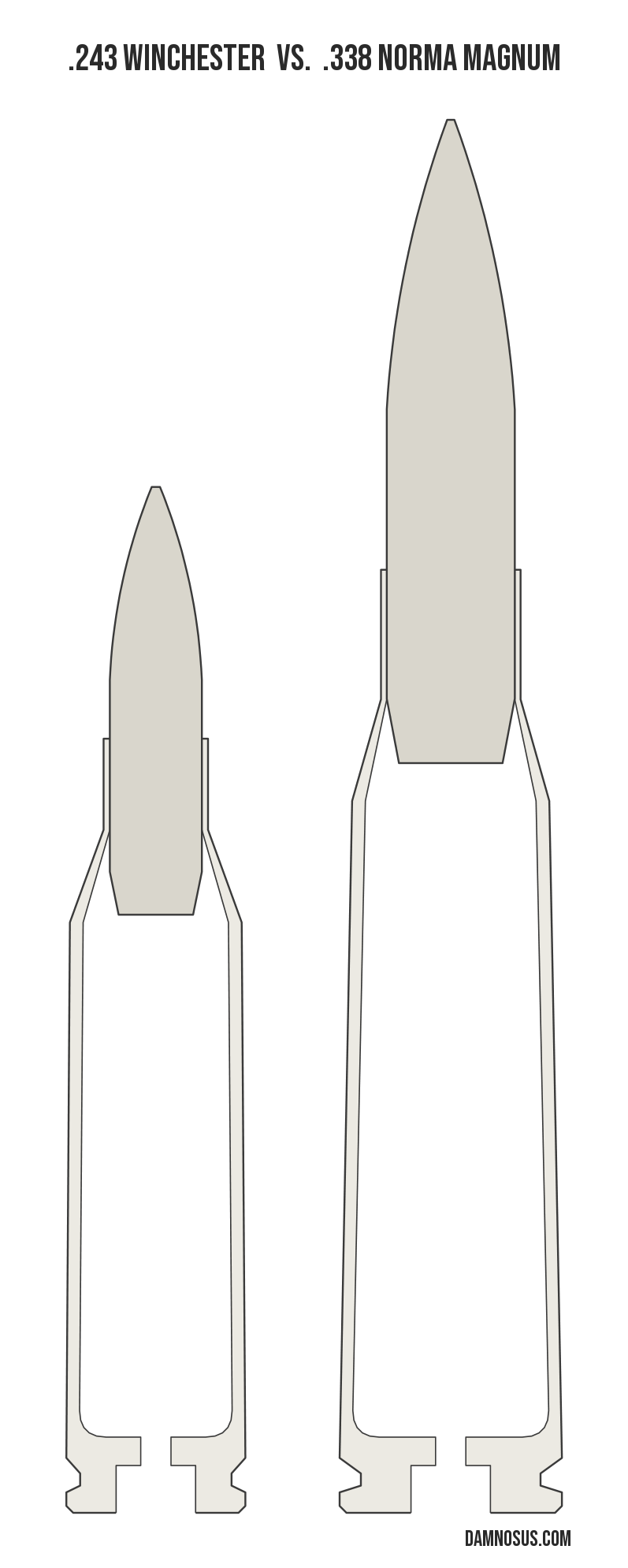 .243 Winchester vs .338 Norma Magnum cartridge size comparison, drawn to scale and aligned at the case head.